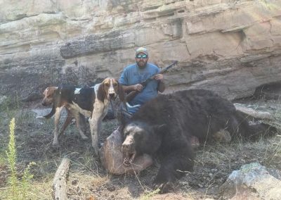 black bear hunted