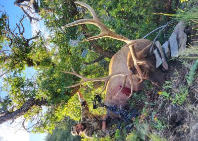 A hunter posing with an elk that they killed