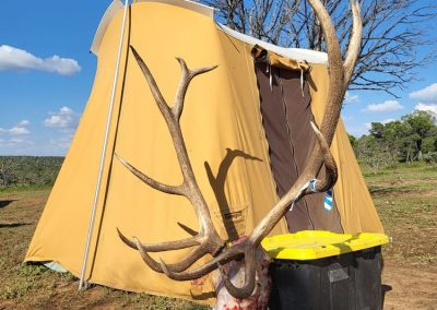 A hunter posing with an elk that they killed