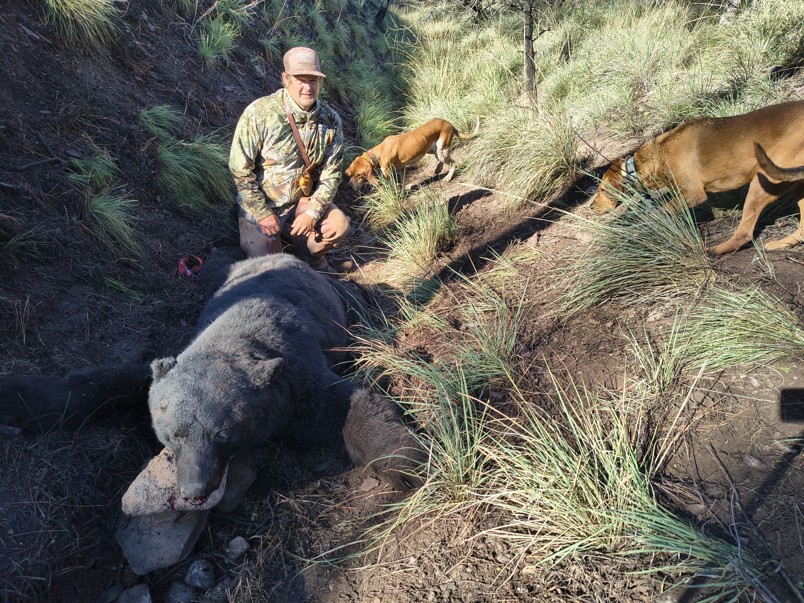 A hunter posing with a black bear that they shot and killed